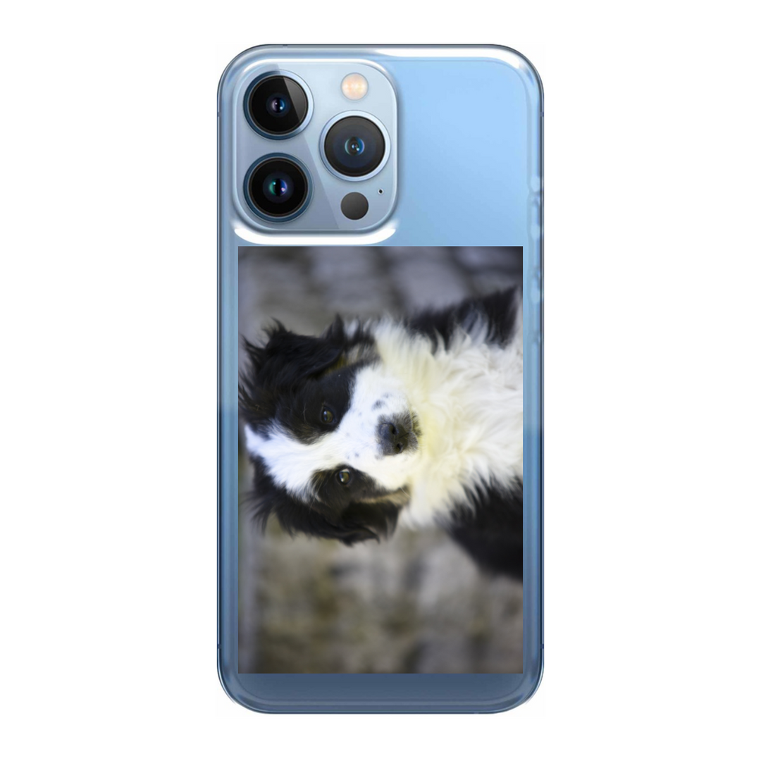 Cover personalizzata iPhone 13 Pro